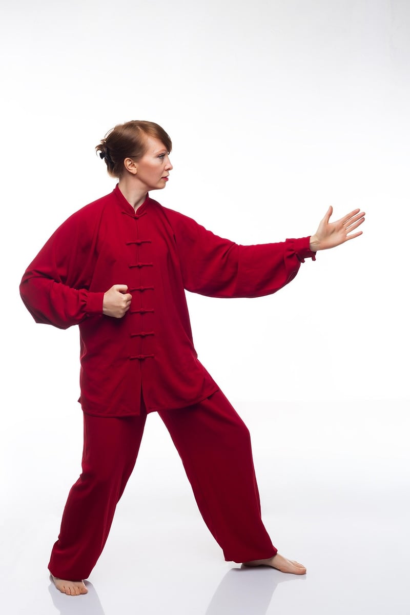 Wu Style Tai Chi Image